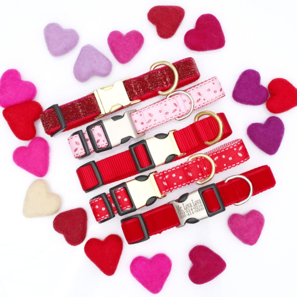 Valentine's Day Dog Gifts