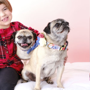 oillie maggie dog collar in lana collar and accessories