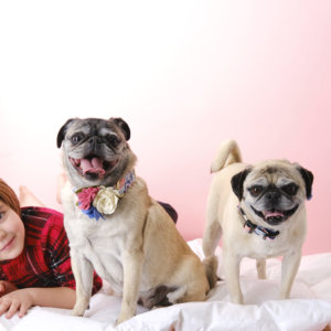 oillie maggie dog collar flowers lana canvas