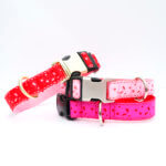 Valentine’s Day Dog Collar — Eve Lace in Pink and Red