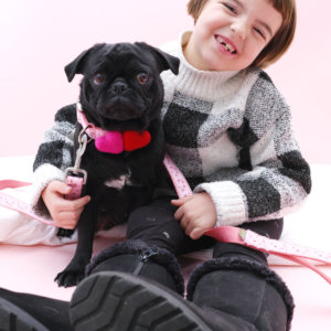 pug valentine dog collar pink and lu