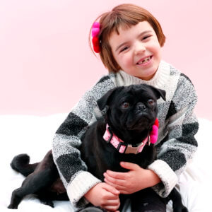 pug valentine dog collar pink