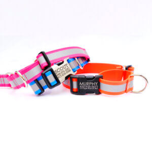 reflective biothane martingale dog collar personalized