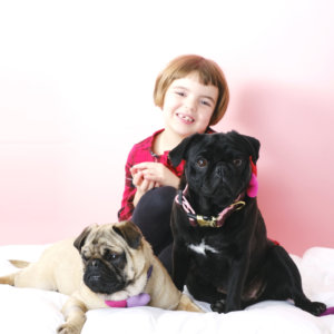 sesame lav pug valentine collar hearts and lu