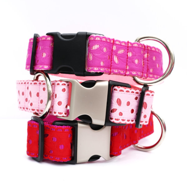 valentine dog collar for large dog 1.5" Eve lace ribbon