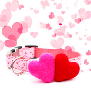 Felt Hearts (3 Color Options)