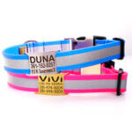 Lightweight Biothane Waterproof Reflective Dog Collar with Engraved Personalized Nameplate
