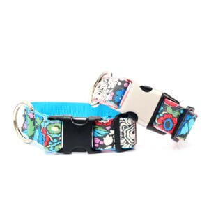 alice wide dog collar 1.5