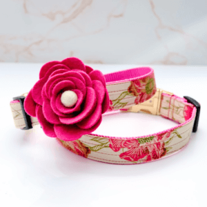 Audrey Magnolia Rose Petal dog collar flower