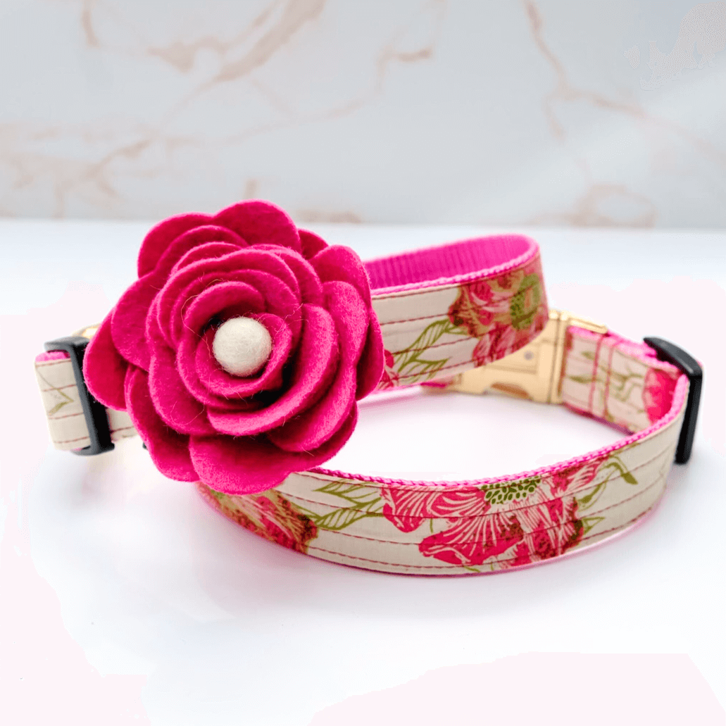 Audrey Magnolia Rose Petal dog collar flower