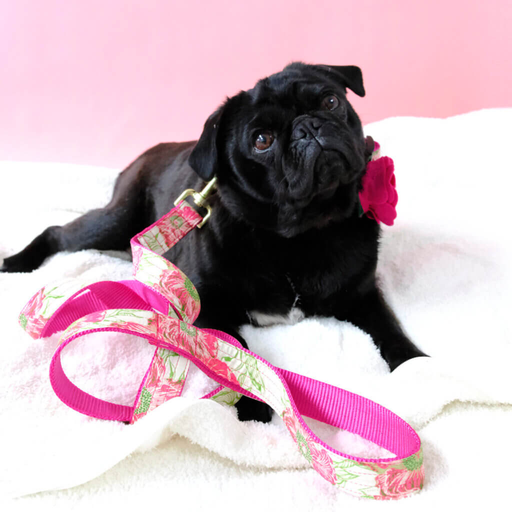 Audrey collar leash pug pink