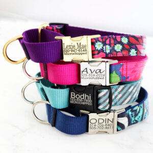 martingale dog collars laminated cotton
