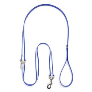 reflective waterproof seat belt leash cobalt blue