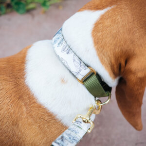 Basset Martingale Botanica