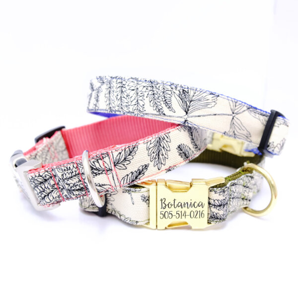best engraved canvas dog collar botanical