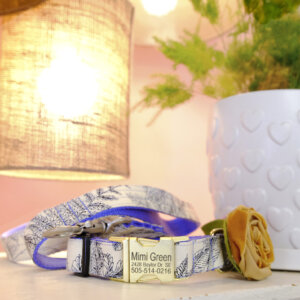 botanica canvas dog collar personalized neutral
