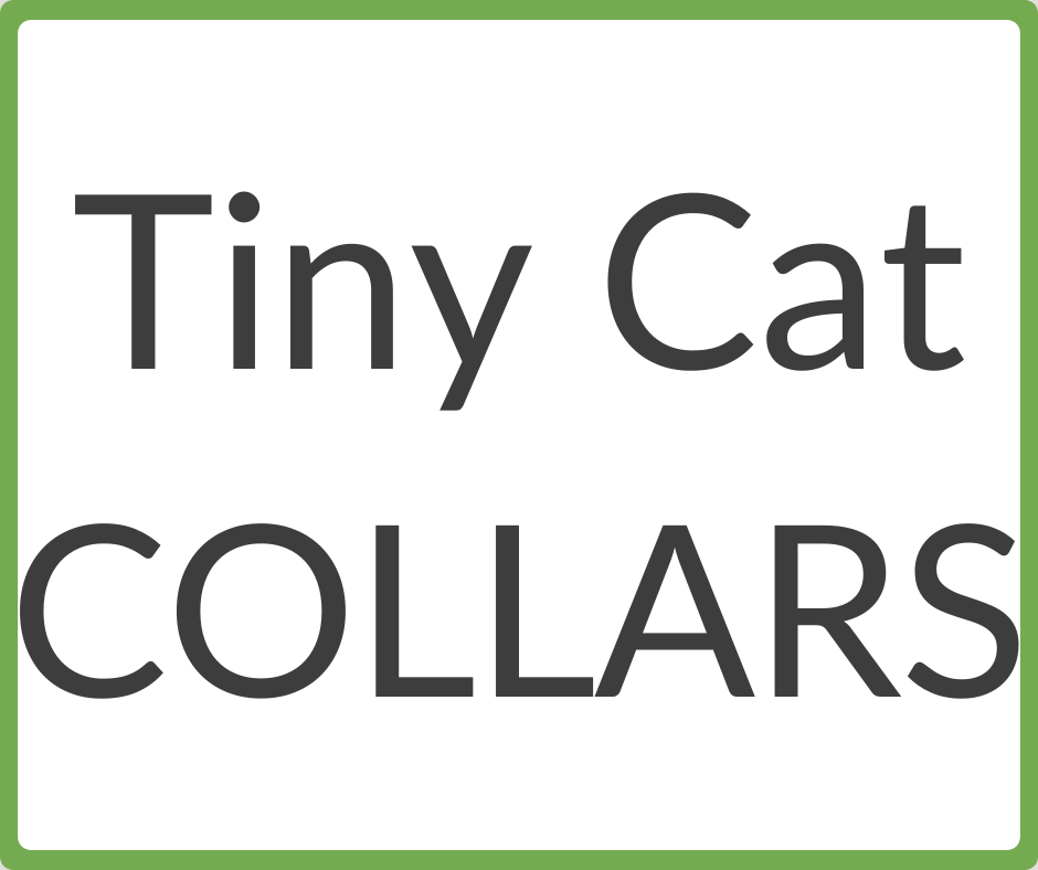 Fits cat collars