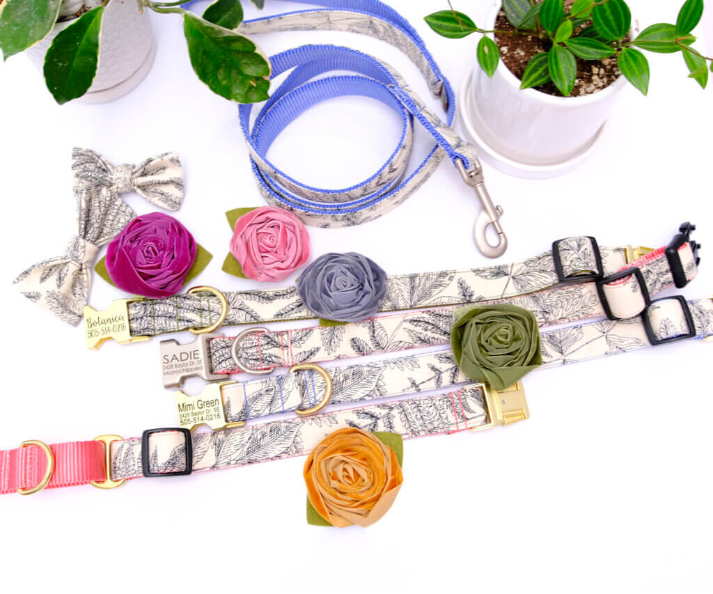 modern plant dog collars flowers botanical