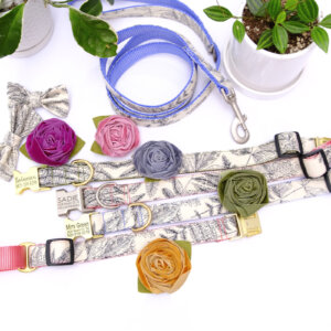 modern plant dog collars flowers botanical