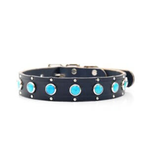 1 in semi simple turquoise studded belt buckle collar 3