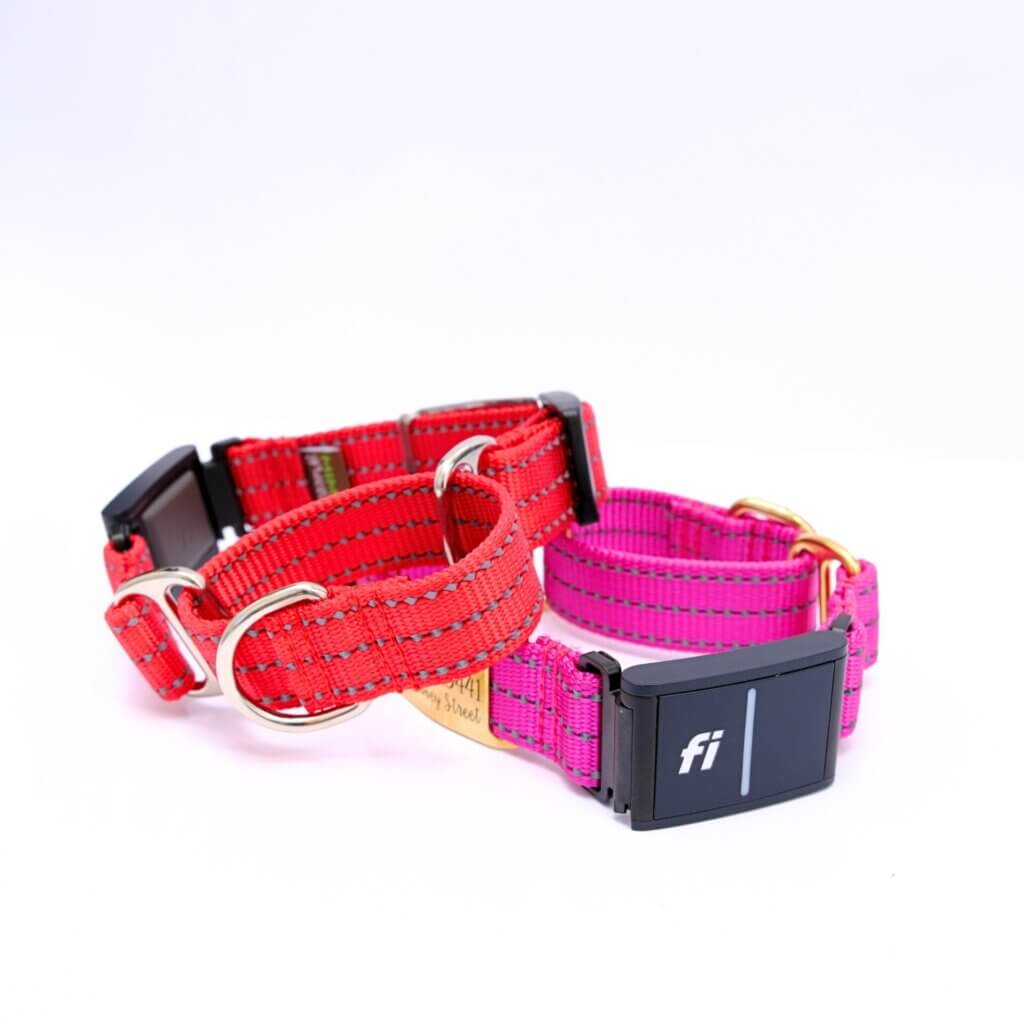 Fi Compatible Reflective Nylon Martingale Dog Collar Optional Name