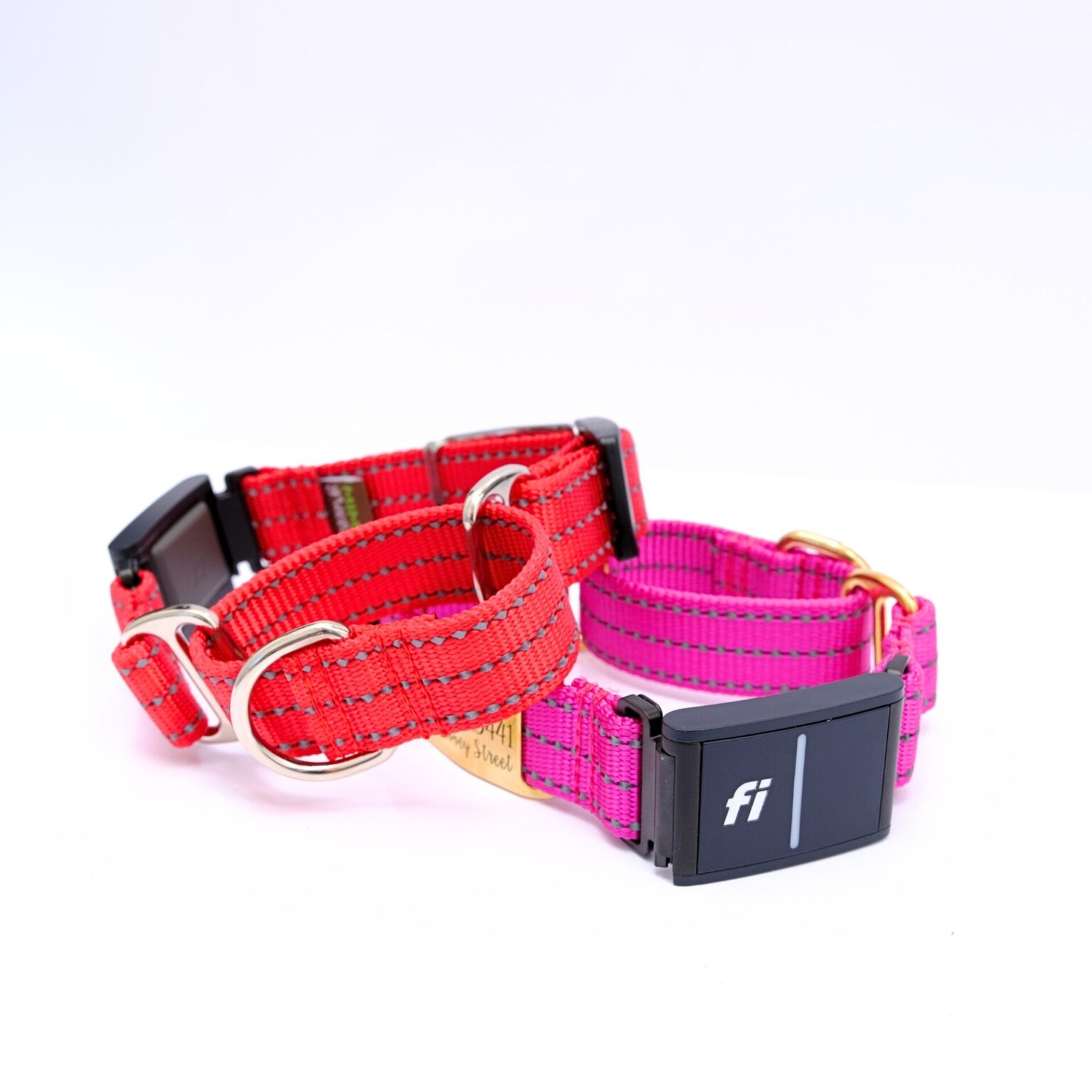 Fi Compatible Reflective Nylon Martingale Dog Collar Optional Name