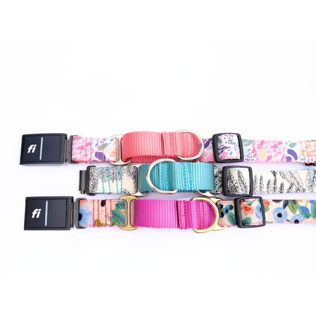 Fi Compatible Canvas Martingale Dog Collars Optional Name Plate