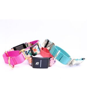 Fi Canvas Martingale