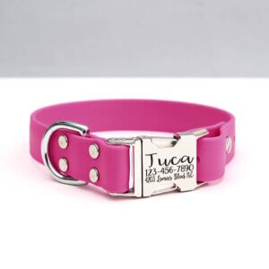 engraved raspberry side release collar