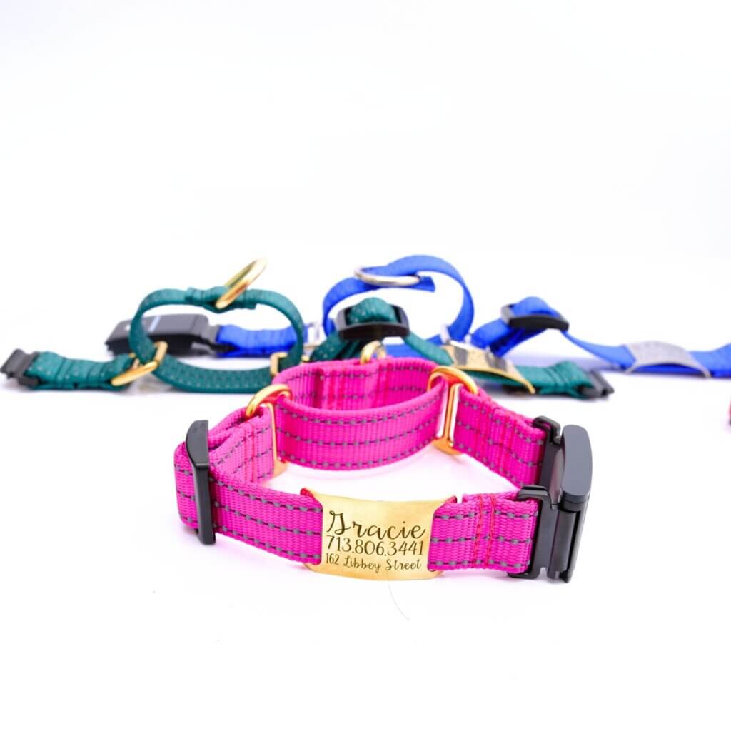 Fi Compatible Reflective Nylon Martingale Dog Collar Optional Name