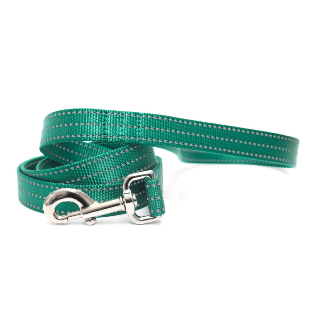 forest reflective nylon leash