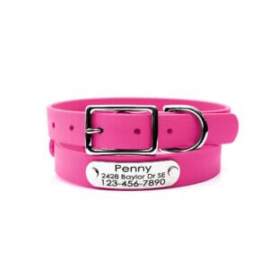 raspberry belt buckle waterproof collar