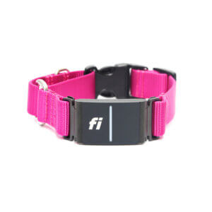 raspberry fi compatible nylon buckle martingale fi side