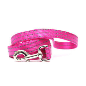 raspberry reflective nylon leash