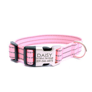 reflective dog collar Pink nylon personalized buckle