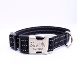 reflective dog collar black nylon personalized buckle