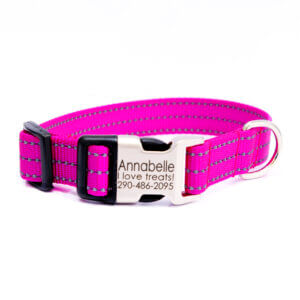reflective dog collar magenta pink nylon personalized rasberry