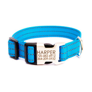 reflective dog collar peacock blue nylon personalized