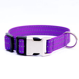 reflective dog collar purple nylon personalized