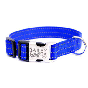 reflective dog collar royal blue nylon personalized
