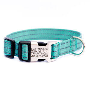 reflective dog collar teal nylon personalized