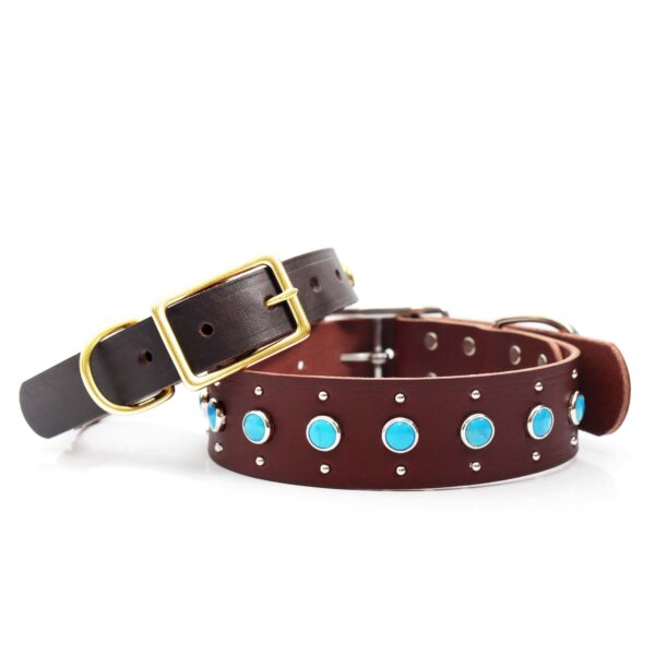 semi simple turquoise studded belt buckle collars duke
