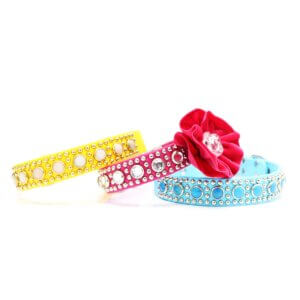 waterproof studded luxe collar