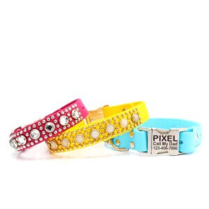 waterproof studded luxe collar