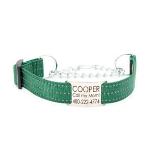 Forest Green Reflective Chain Martingale