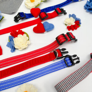 Fourth of July collection image