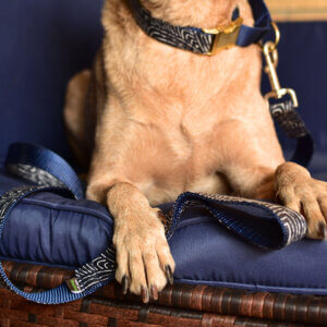 Fox Capri Laminated Close Up