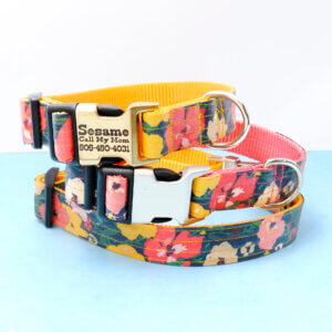 Meadow floral laminate dog collar engraved