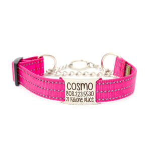 Raspberry Chain Reflective Martingale