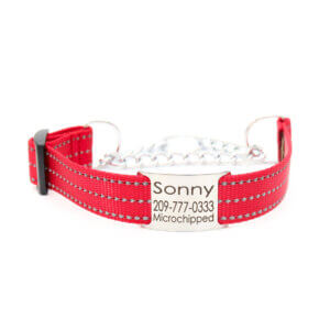 Red Reflective Chain Martingale
